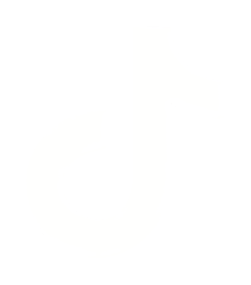 Instagram Icon