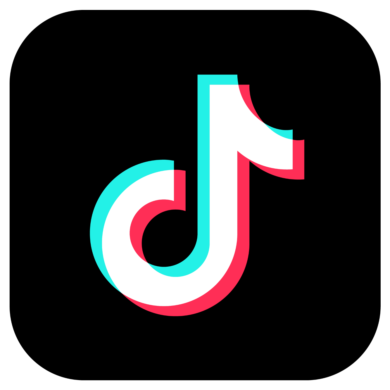 Instagram Icon